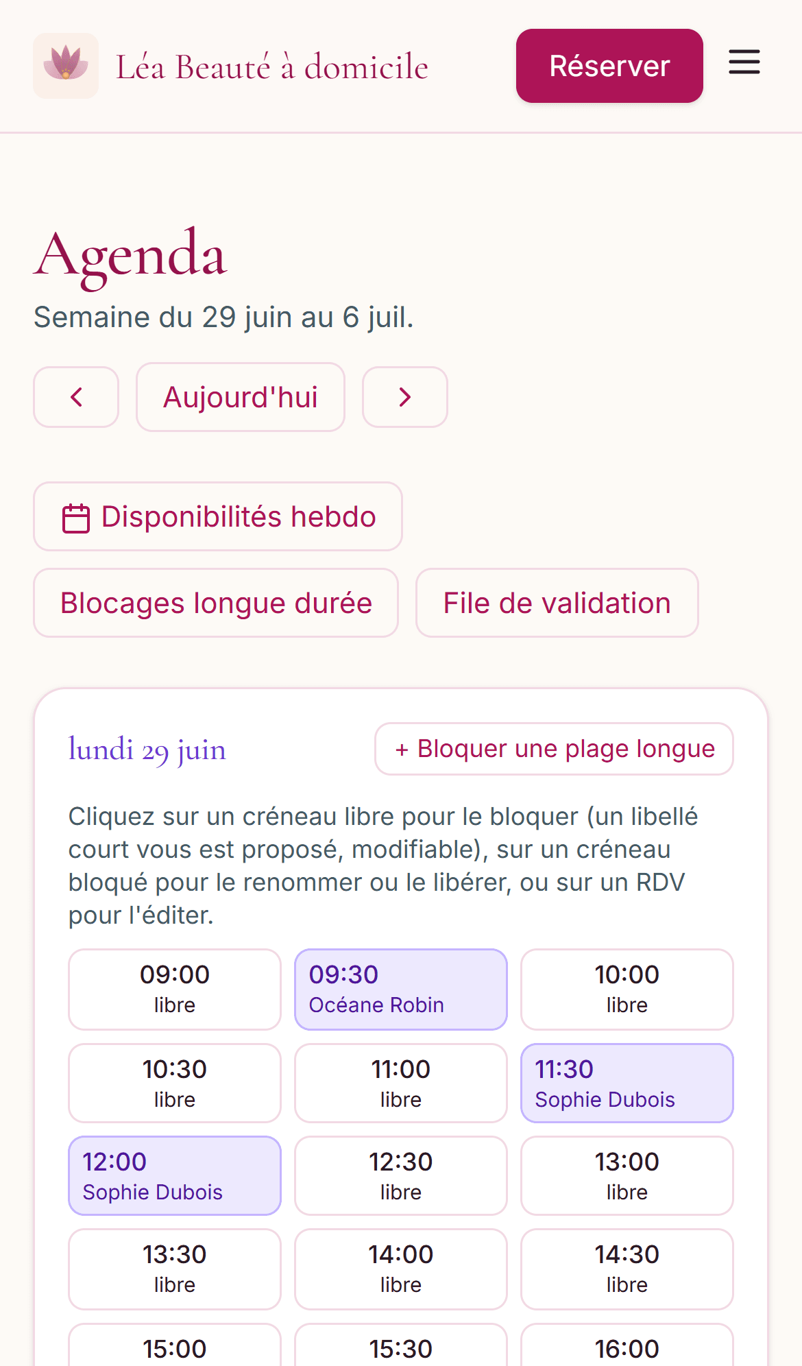Agenda Domospro sur mobile